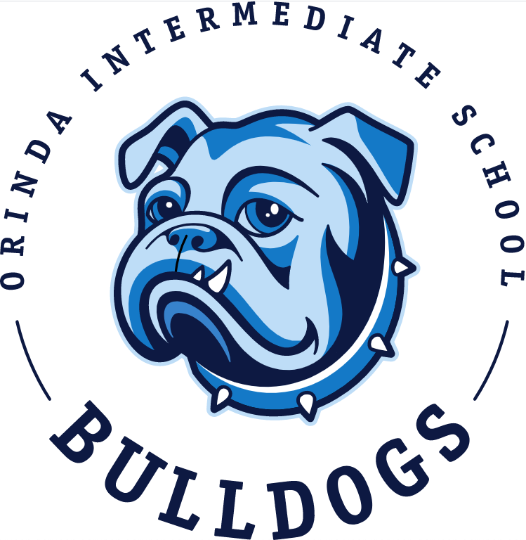 OIS logo