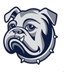 OIS Logo