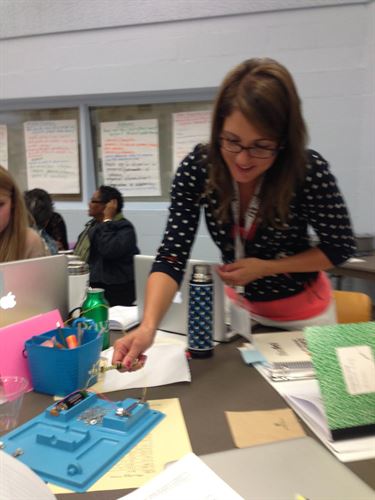 Teacher STEM